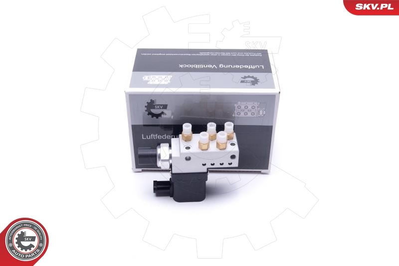 ESEN SKV 93SKV807 Valve, compressed-air system