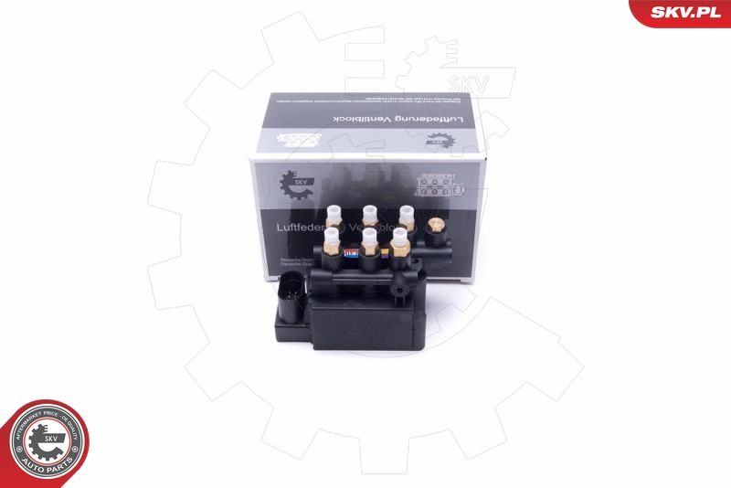 ESEN SKV 93SKV811 Valve, compressed-air system
