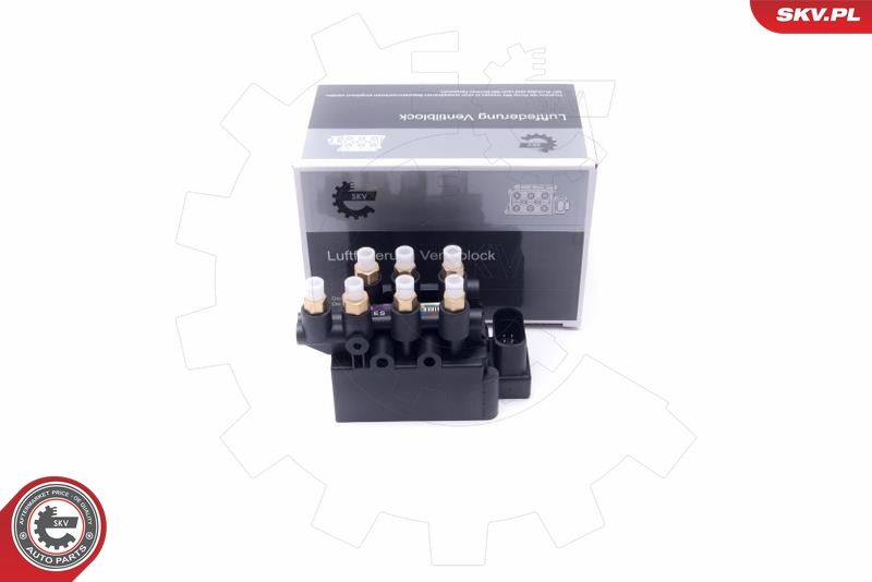 ESEN SKV 93SKV812 Valve, compressed-air system