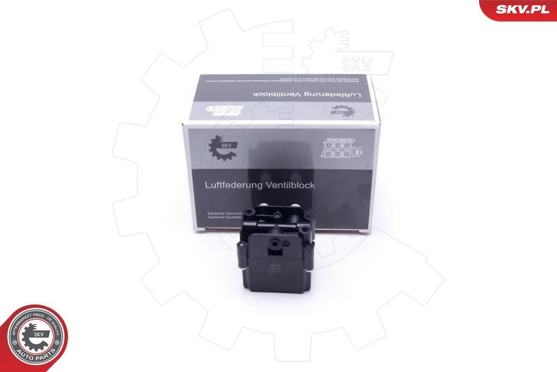 ESEN SKV 93SKV813 Valve, compressed-air system