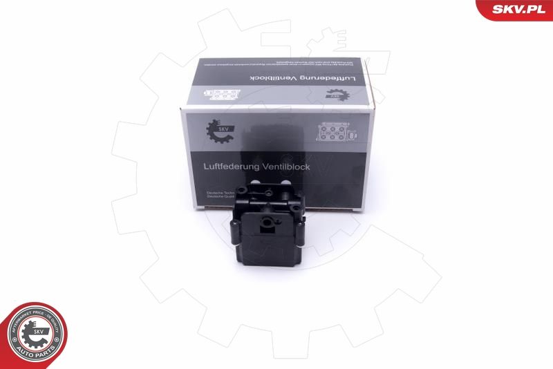 ESEN SKV 93SKV814 Valve, compressed-air system