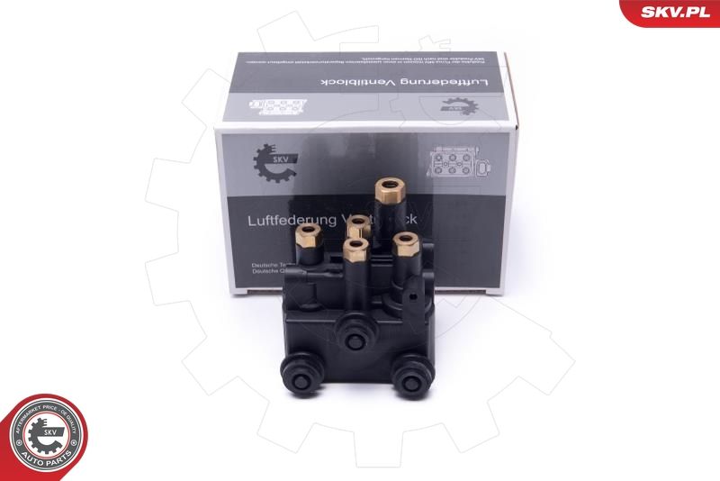 ESEN SKV 93SKV815 Valve, compressed-air system