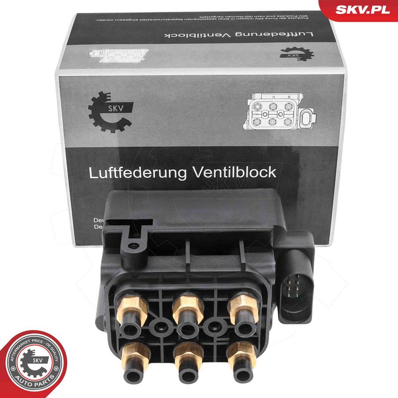 ESEN SKV 93SKV817 Valve, compressed-air system