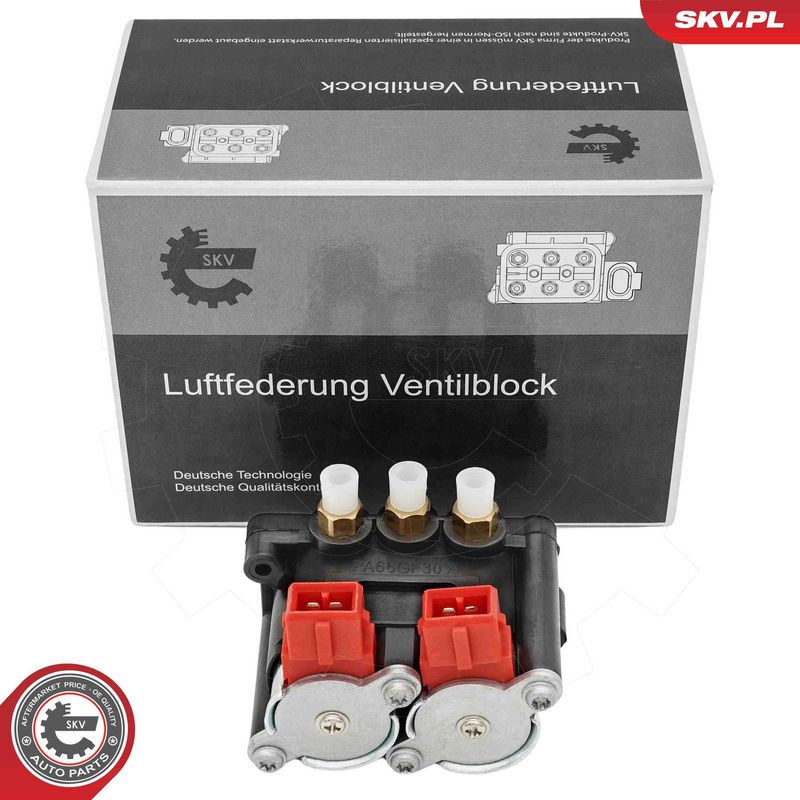 ESEN SKV 93SKV818 Valve, compressed-air system
