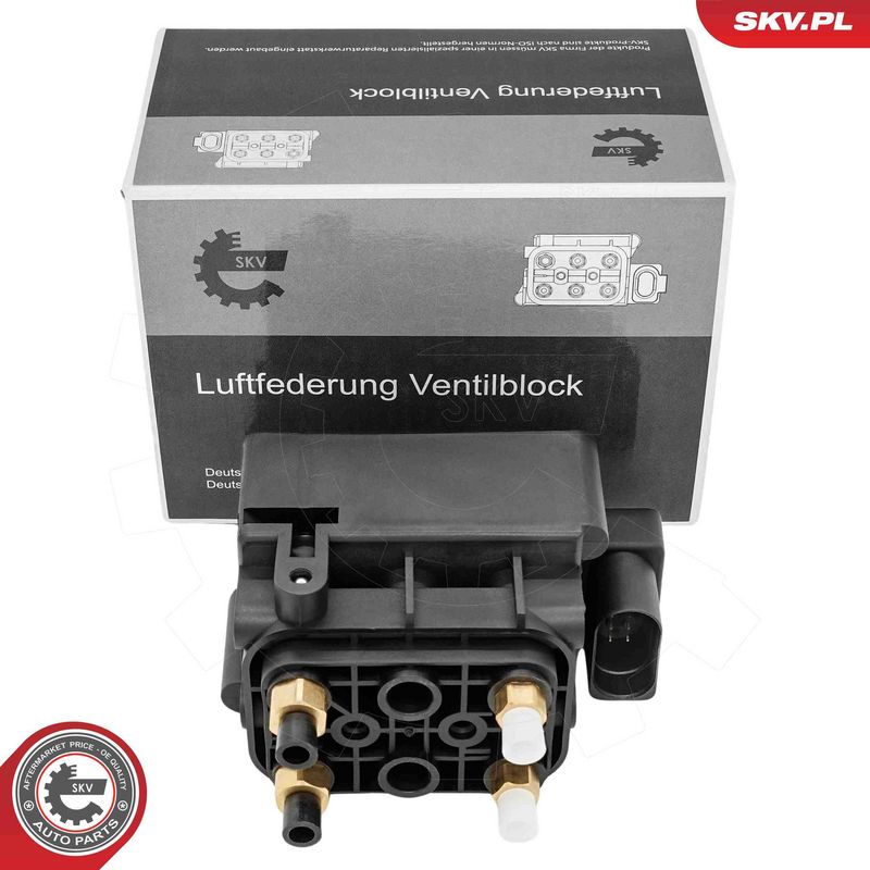 ESEN SKV 93SKV821 Valve, compressed-air system