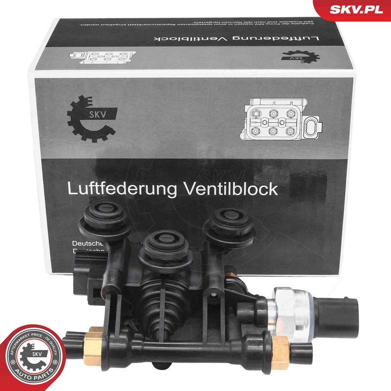 ESEN SKV 93SKV823 Valve, compressed-air system