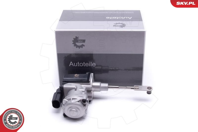 ESEN SKV 95SKV407 Boost Pressure Control Valve