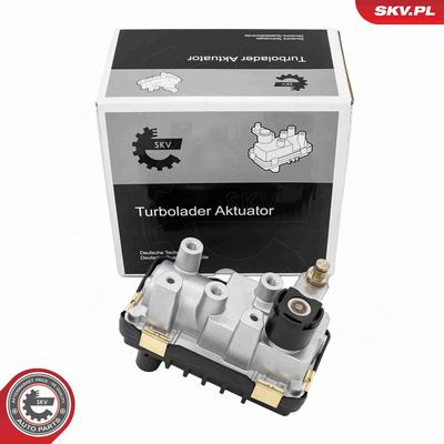 Boost Pressure Control Valve ESEN SKV 95SKV459