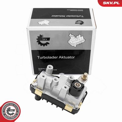 Boost Pressure Control Valve ESEN SKV 95SKV460