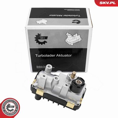 Boost Pressure Control Valve ESEN SKV 95SKV462