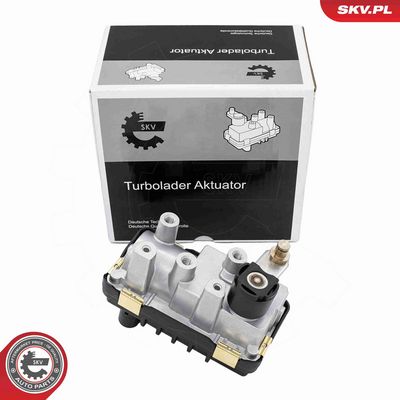 Boost Pressure Control Valve ESEN SKV 95SKV463