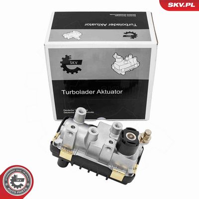 Boost Pressure Control Valve ESEN SKV 95SKV464