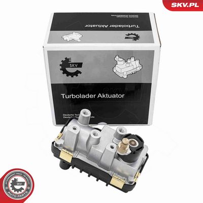 Boost Pressure Control Valve ESEN SKV 95SKV469