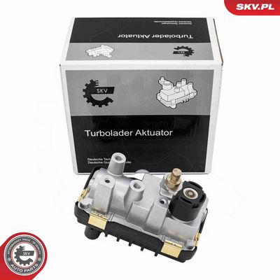 Boost Pressure Control Valve ESEN SKV 95SKV470