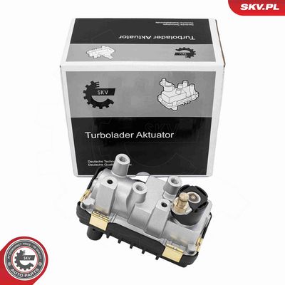 Boost Pressure Control Valve ESEN SKV 95SKV471