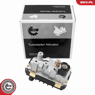 Boost Pressure Control Valve ESEN SKV 95SKV480