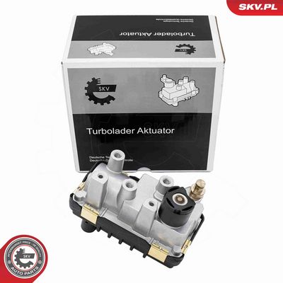 Boost Pressure Control Valve ESEN SKV 95SKV484