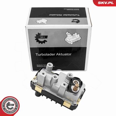 Boost Pressure Control Valve ESEN SKV 95SKV487