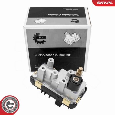 Boost Pressure Control Valve ESEN SKV 95SKV489