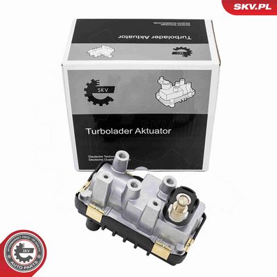 Boost Pressure Control Valve ESEN SKV 95SKV495