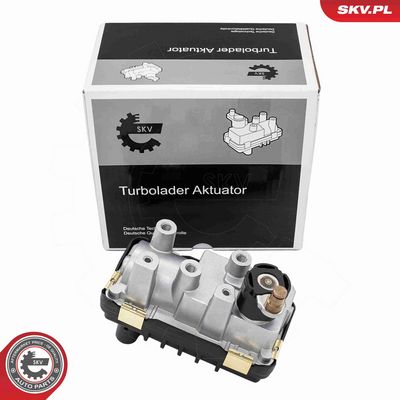 Boost Pressure Control Valve ESEN SKV 95SKV496