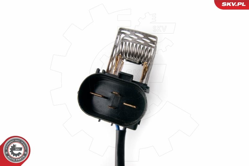 ESEN SKV 96SKV011 Fan, engine cooling