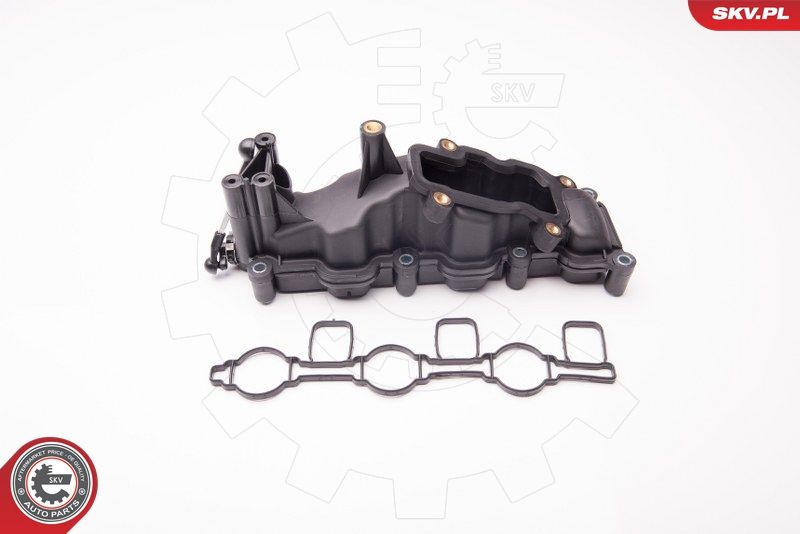 ESEN SKV 96SKV017 Intake Manifold Module