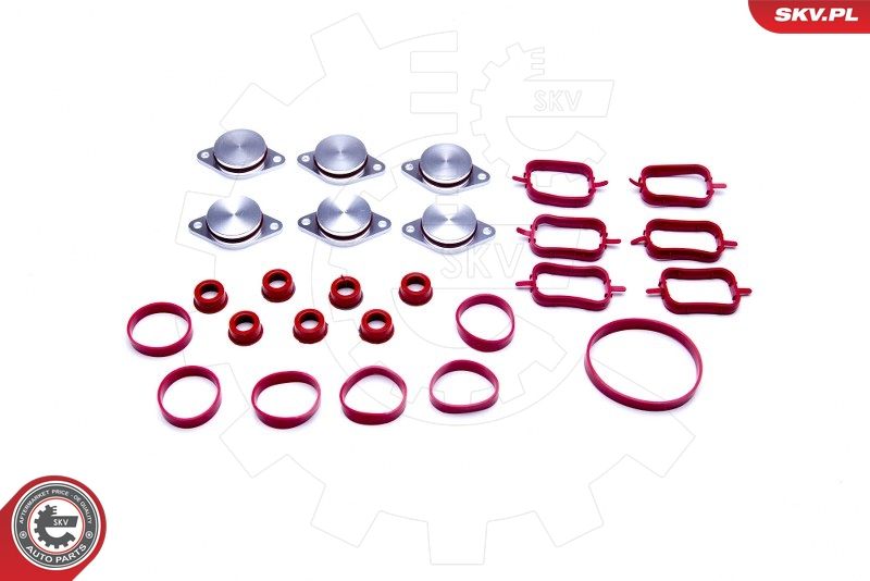 ESEN SKV 96SKV045 Gasket Set, intake manifold
