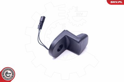 Switch, tailgate release ESEN SKV 96SKV049