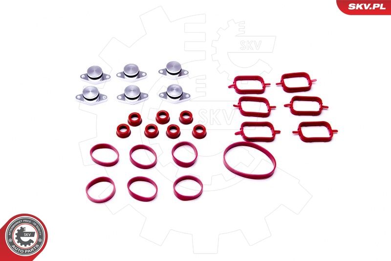 ESEN SKV 96SKV052 Gasket Set, intake manifold