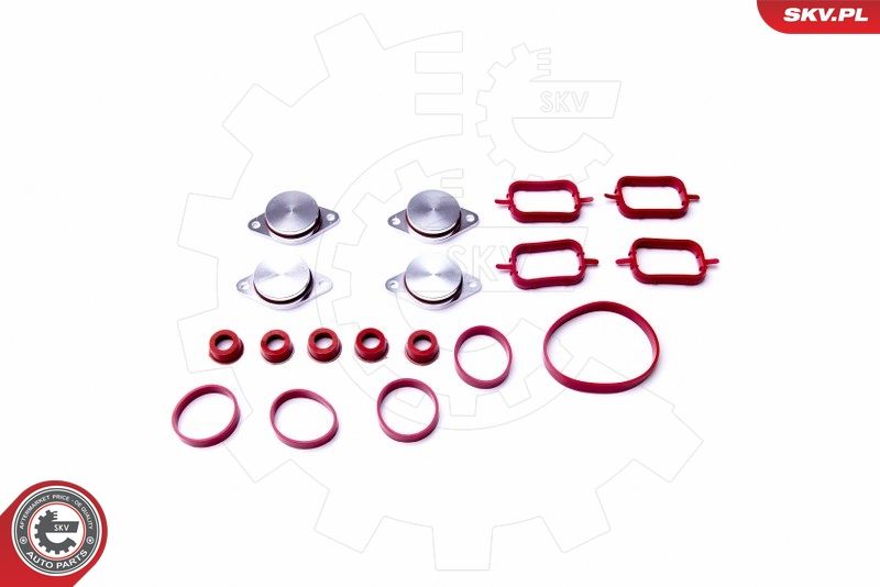 ESEN SKV 96SKV053 Gasket Set, intake manifold