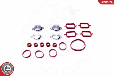 Gasket Set, intake manifold ESEN SKV 96SKV053