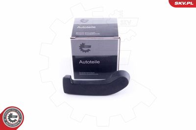 Switch, tailgate release ESEN SKV 96SKV114