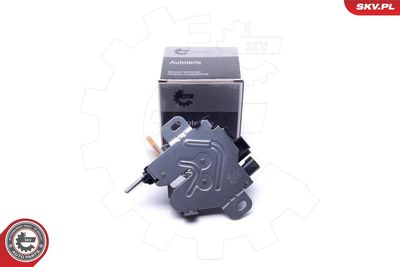 Exterior Door Handle ESEN SKV 96SKV165