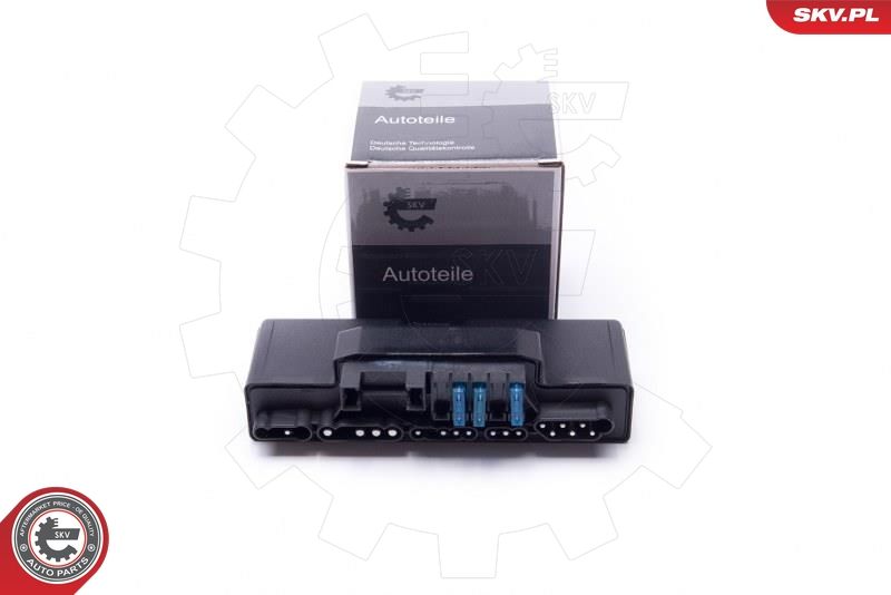 ESEN SKV 96SKV202 Control Unit Set