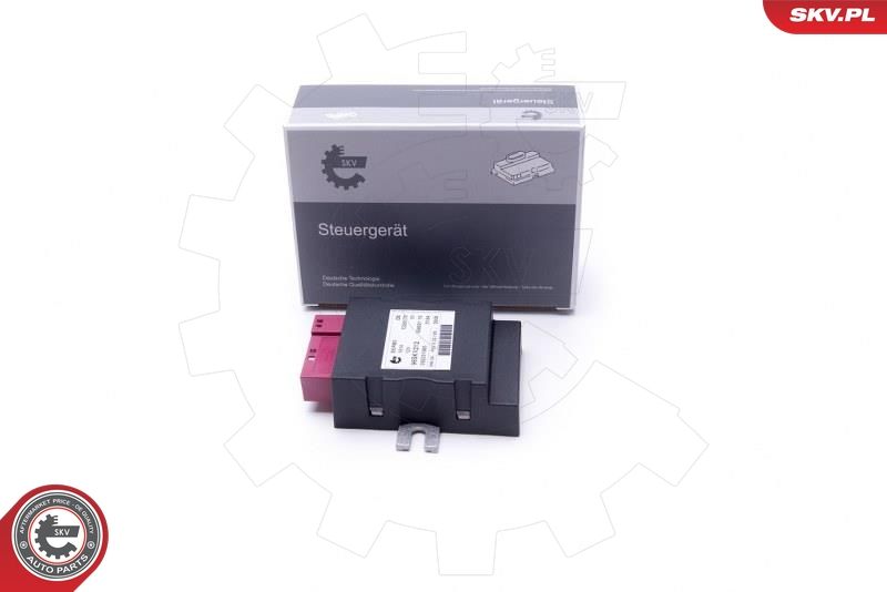 ESEN SKV 96SKV212 Control Unit, fuel pump