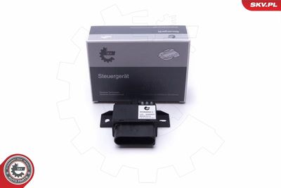 Control Unit, fuel pump ESEN SKV 96SKV213