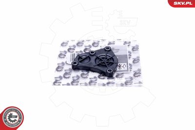 Locking Cover, camshaft ESEN SKV 96SKV215