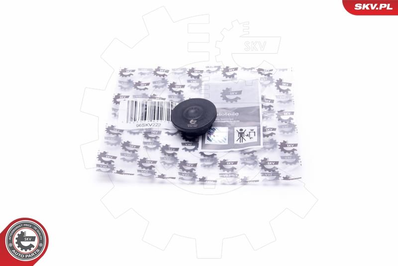 ESEN SKV 96SKV222 Repair Kit, crankcase ventilation