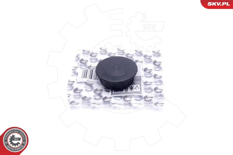 ESEN SKV 96SKV223 Repair Kit, crankcase ventilation