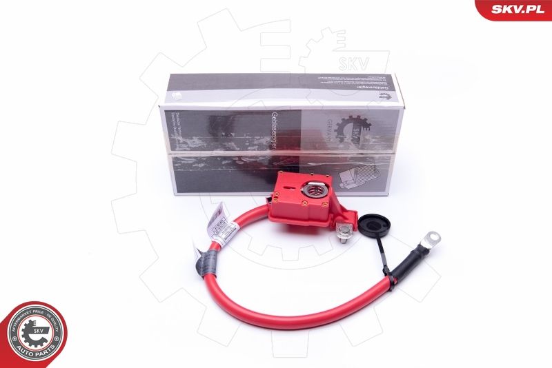 ESEN SKV 96SKV302 Battery Adapter