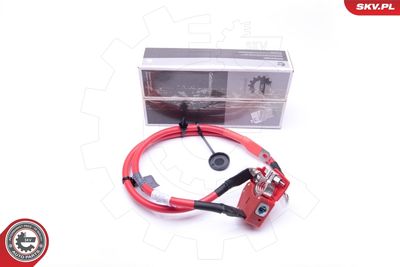 Battery Adapter ESEN SKV 96SKV307