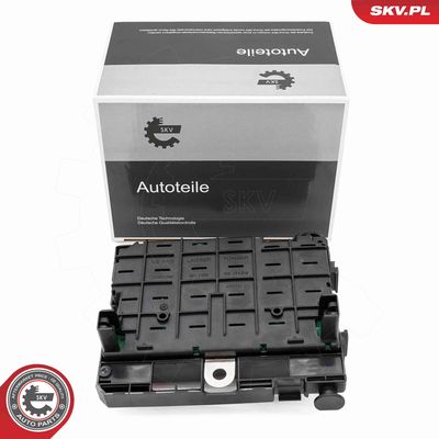 Control Unit, engine management ESEN SKV 96SKV321