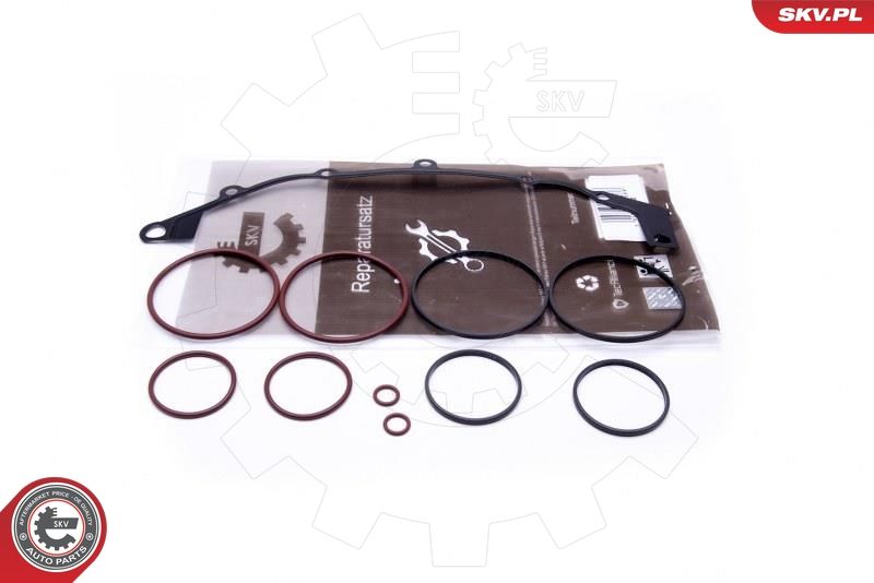 ESEN SKV 96SKV400 Repair Kit, intake manifold module