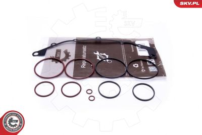 Repair Kit, intake manifold module ESEN SKV 96SKV400
