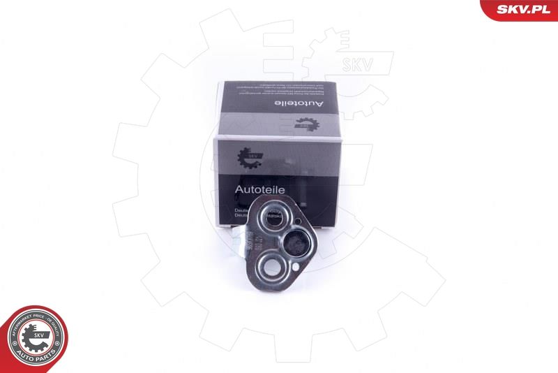 ESEN SKV 96SKV769 Door Check