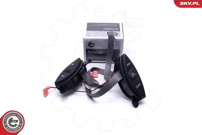 Switch, cruise control ESEN SKV 96SKV928