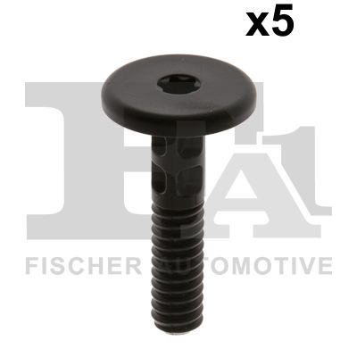 FA1 10-70002.5 Screw