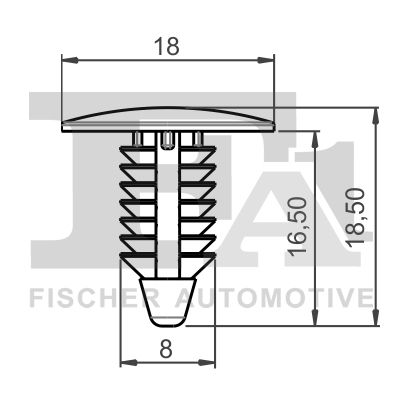 Clip, trim/protection strip FA1 89-10002.5