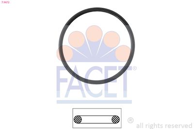 Seal, thermostat FACET 7.9672